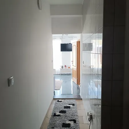Mountain Relax Apartment Vlasic